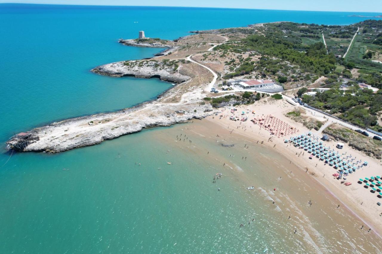 Villaggio Turistico Scialmarino Vieste Eksteriør bilde