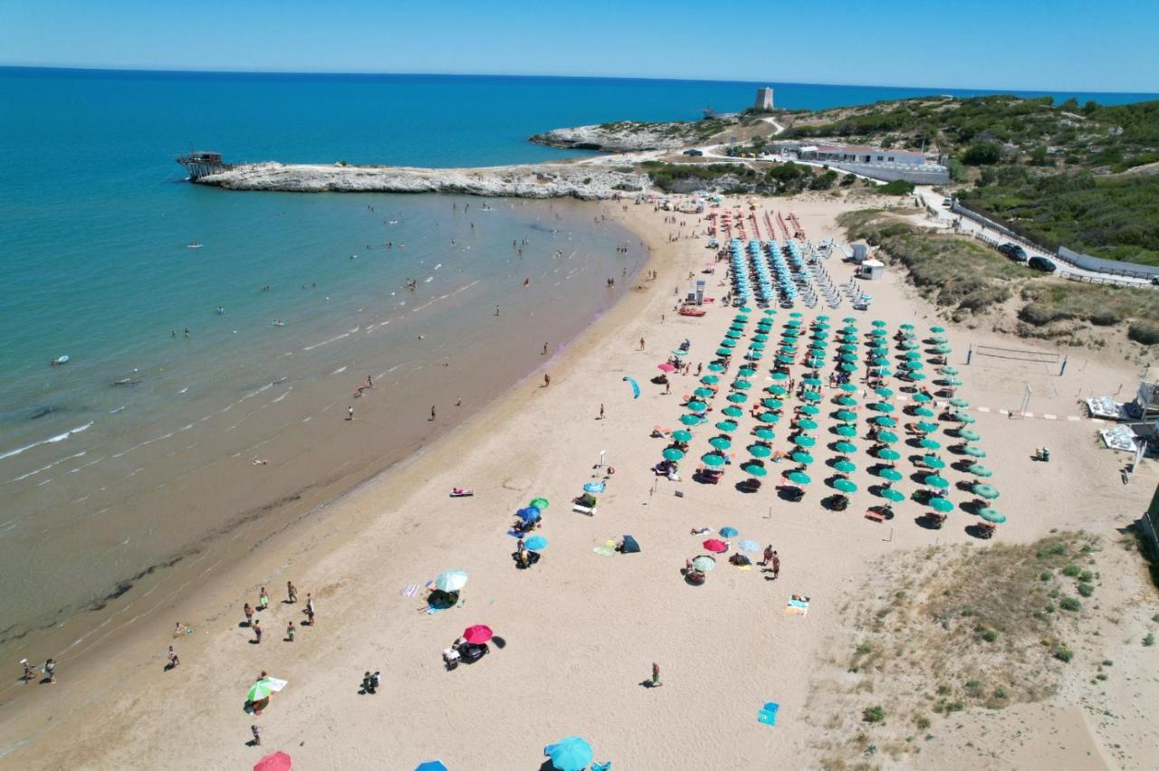 Villaggio Turistico Scialmarino Vieste Eksteriør bilde